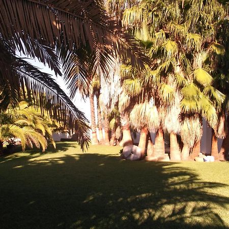 El Olivar De Roche Viejo Conil De La Frontera Bagian luar foto