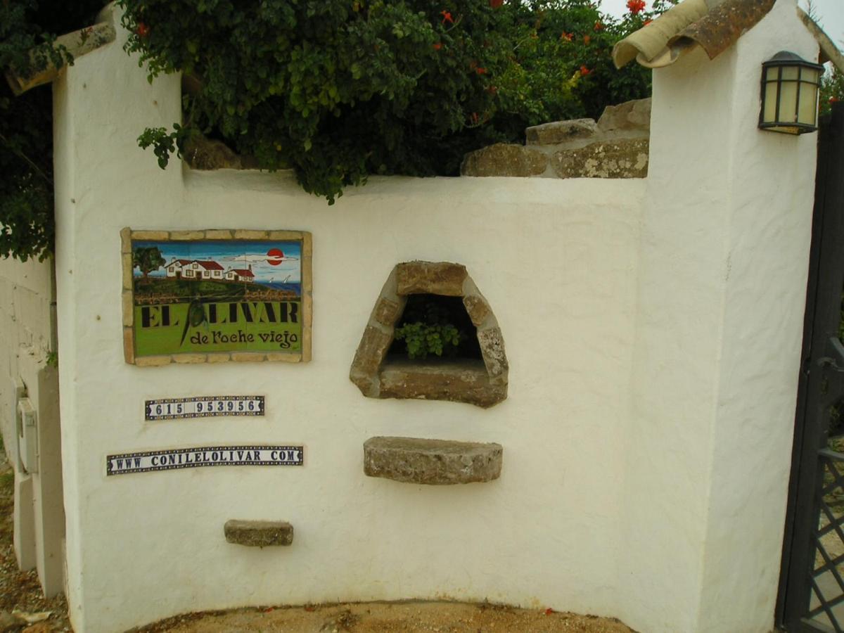 El Olivar De Roche Viejo Conil De La Frontera Bagian luar foto