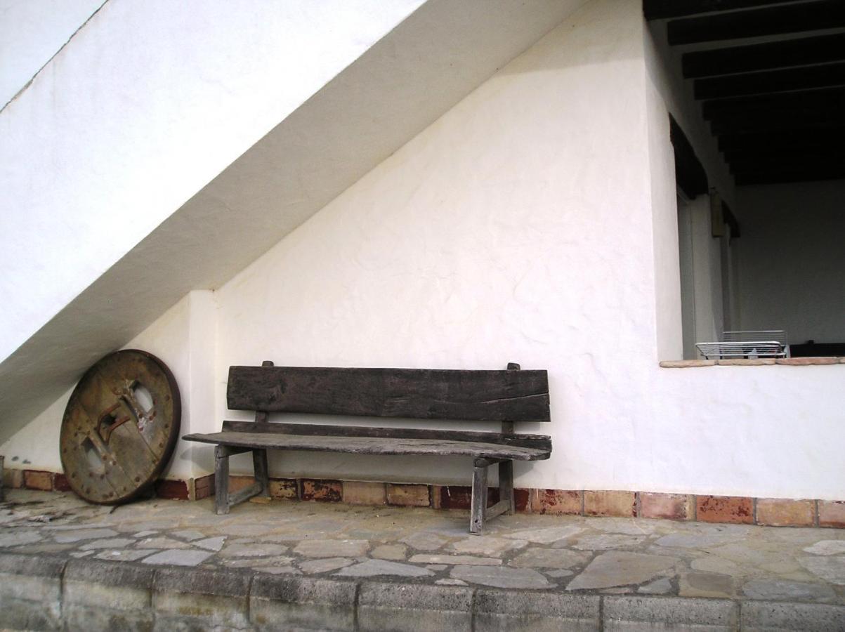 El Olivar De Roche Viejo Conil De La Frontera Bagian luar foto