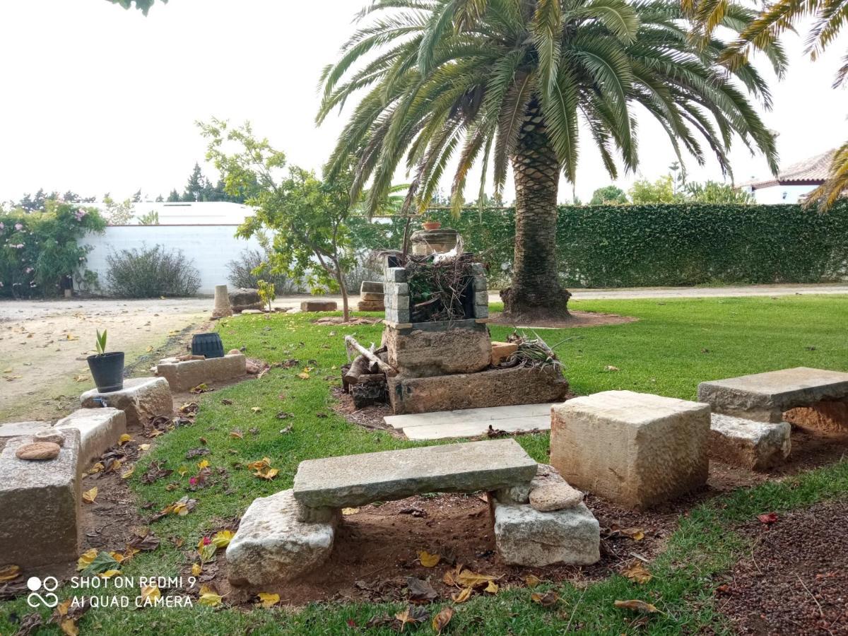 El Olivar De Roche Viejo Conil De La Frontera Bagian luar foto