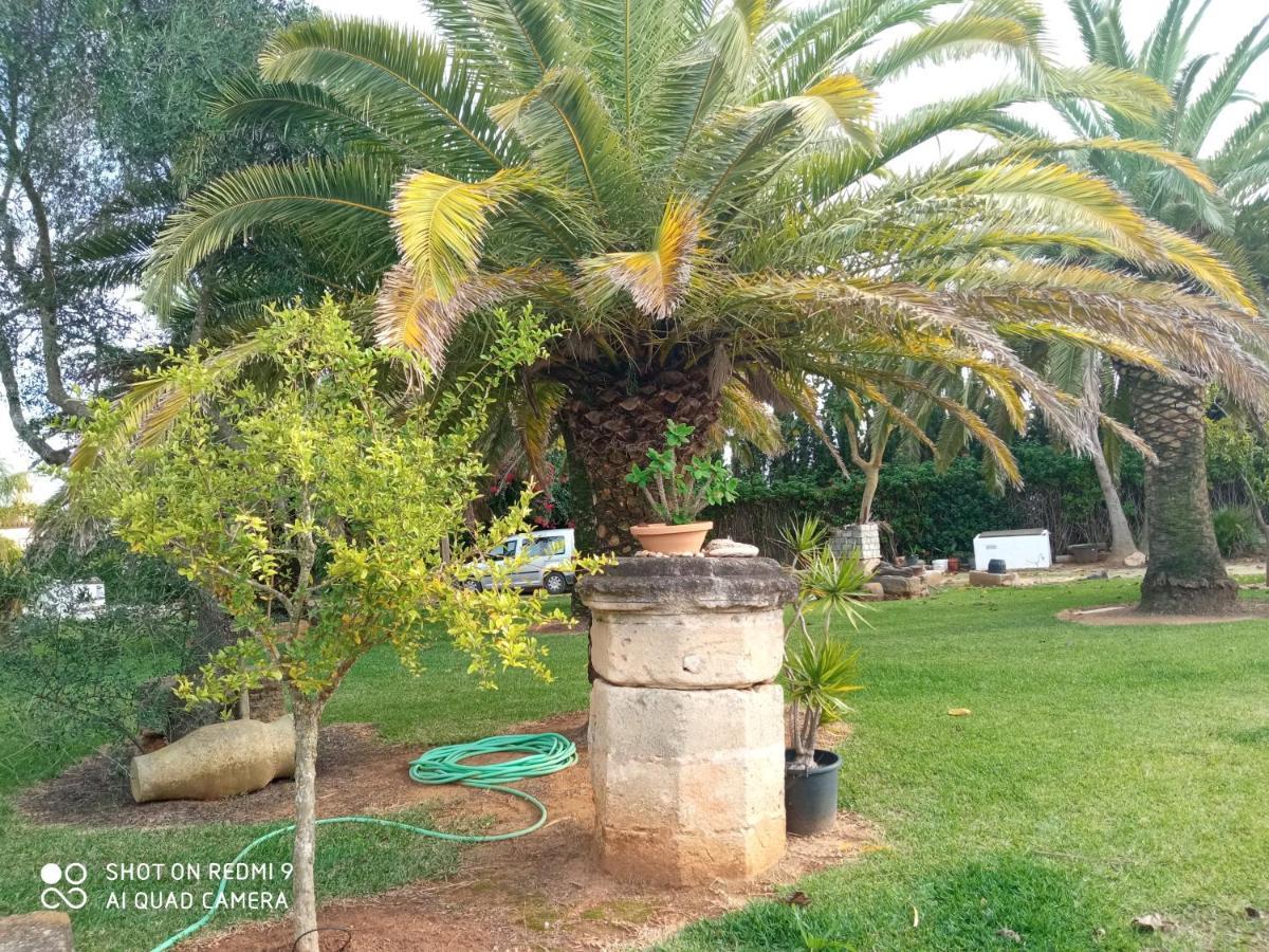 El Olivar De Roche Viejo Conil De La Frontera Bagian luar foto