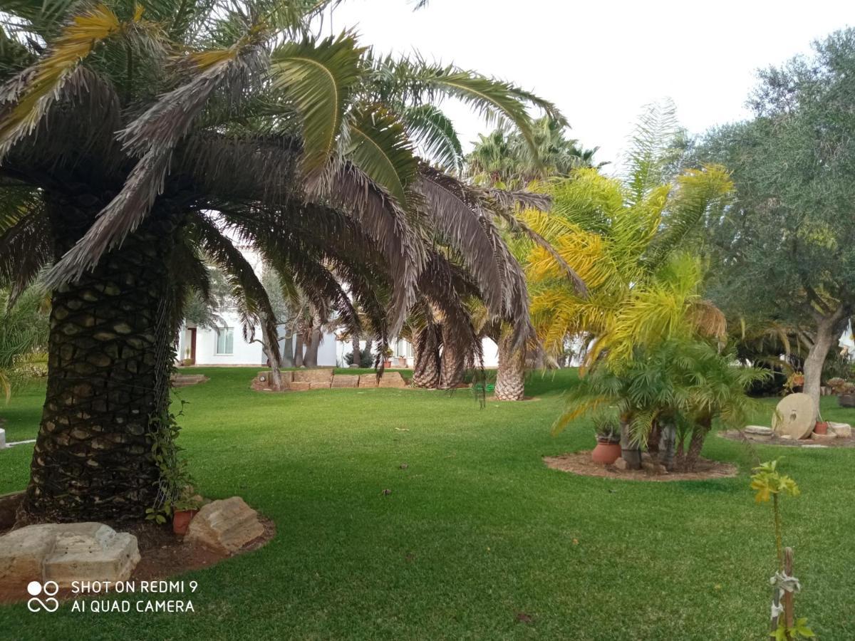 El Olivar De Roche Viejo Conil De La Frontera Bagian luar foto