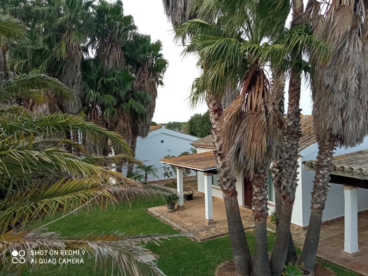 El Olivar De Roche Viejo Conil De La Frontera Bagian luar foto
