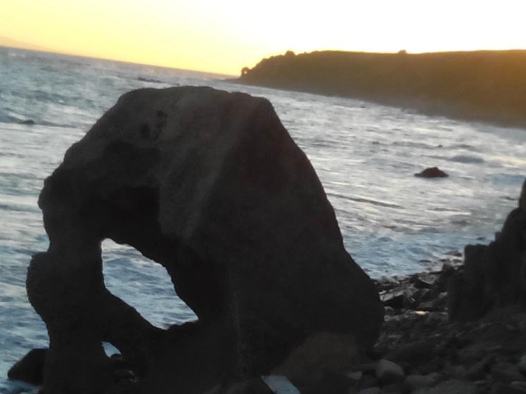 El Olivar De Roche Viejo Conil De La Frontera Bagian luar foto