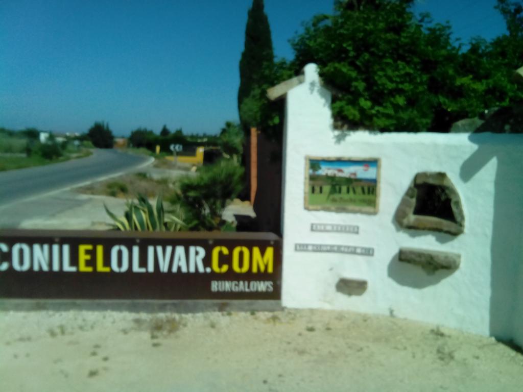 El Olivar De Roche Viejo Conil De La Frontera Bagian luar foto