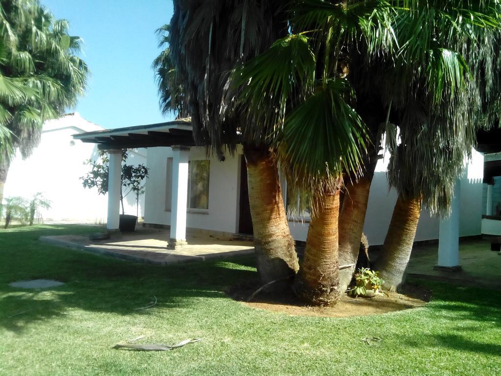 El Olivar De Roche Viejo Conil De La Frontera Bagian luar foto