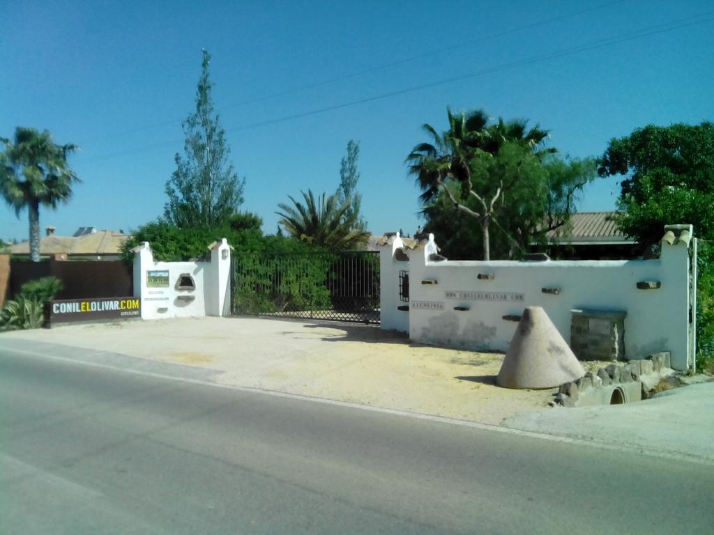El Olivar De Roche Viejo Conil De La Frontera Bagian luar foto