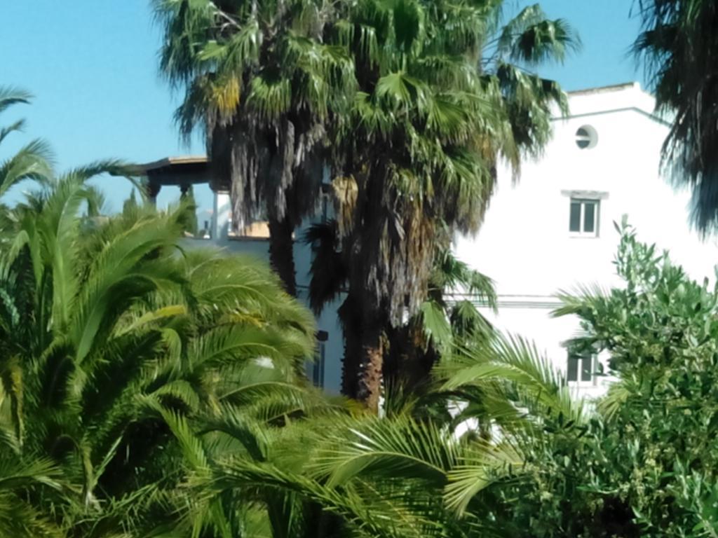 El Olivar De Roche Viejo Conil De La Frontera Bagian luar foto