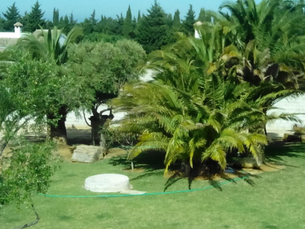 El Olivar De Roche Viejo Conil De La Frontera Bagian luar foto