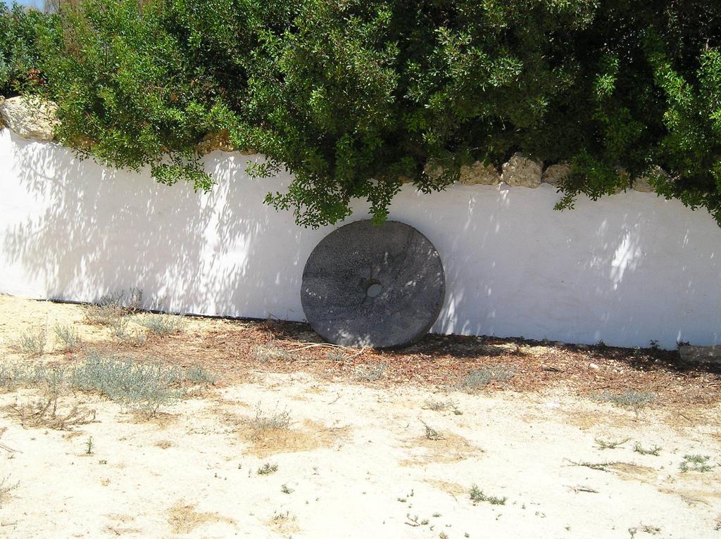 El Olivar De Roche Viejo Conil De La Frontera Bagian luar foto