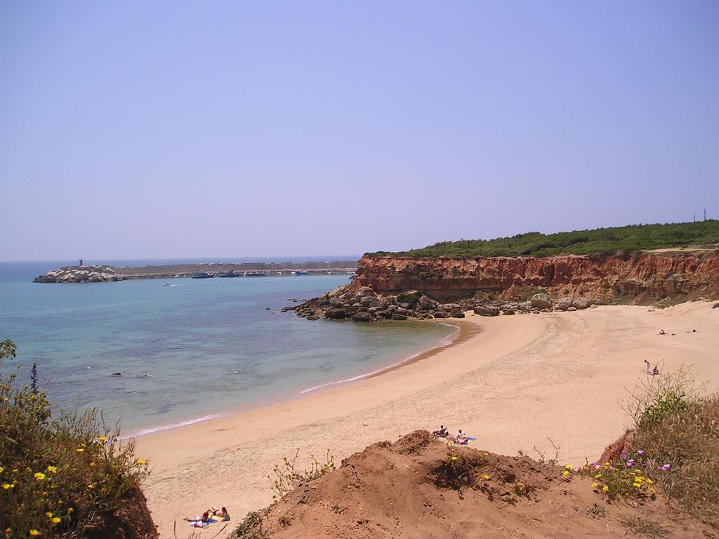El Olivar De Roche Viejo Conil De La Frontera Bagian luar foto