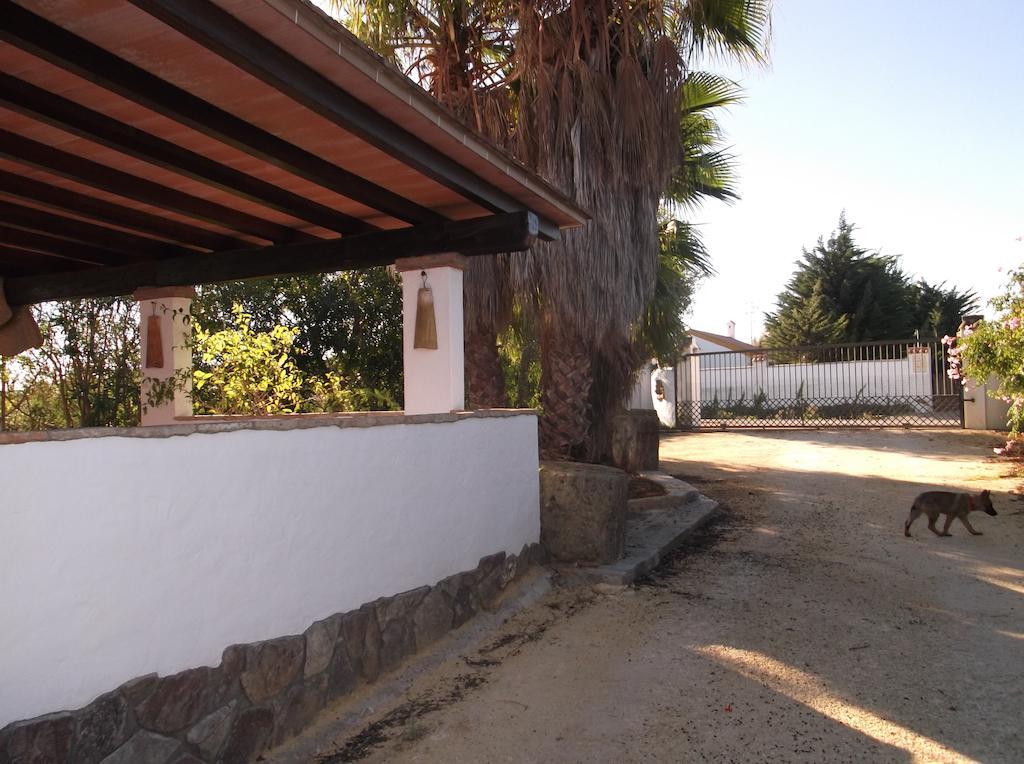 El Olivar De Roche Viejo Conil De La Frontera Bagian luar foto