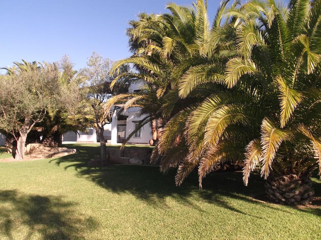 El Olivar De Roche Viejo Conil De La Frontera Bagian luar foto