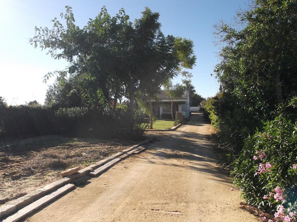 El Olivar De Roche Viejo Conil De La Frontera Bagian luar foto